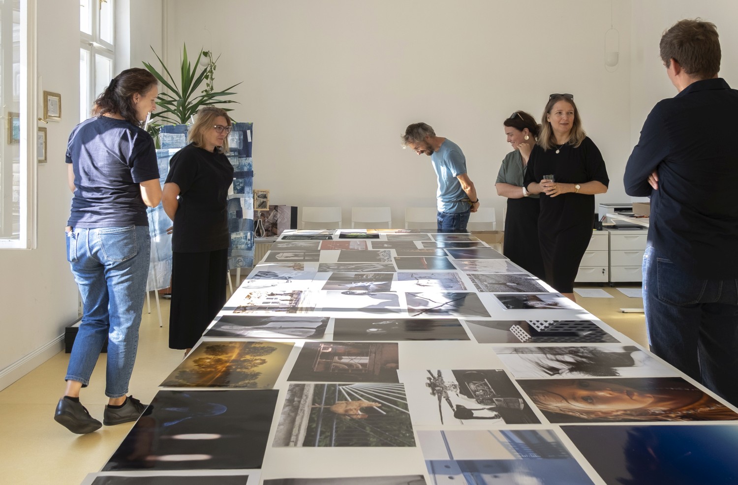AMFO 2025 porota, foto Zdeno Ziman